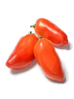 The Living Seed Company Tomato - Opalka Paste