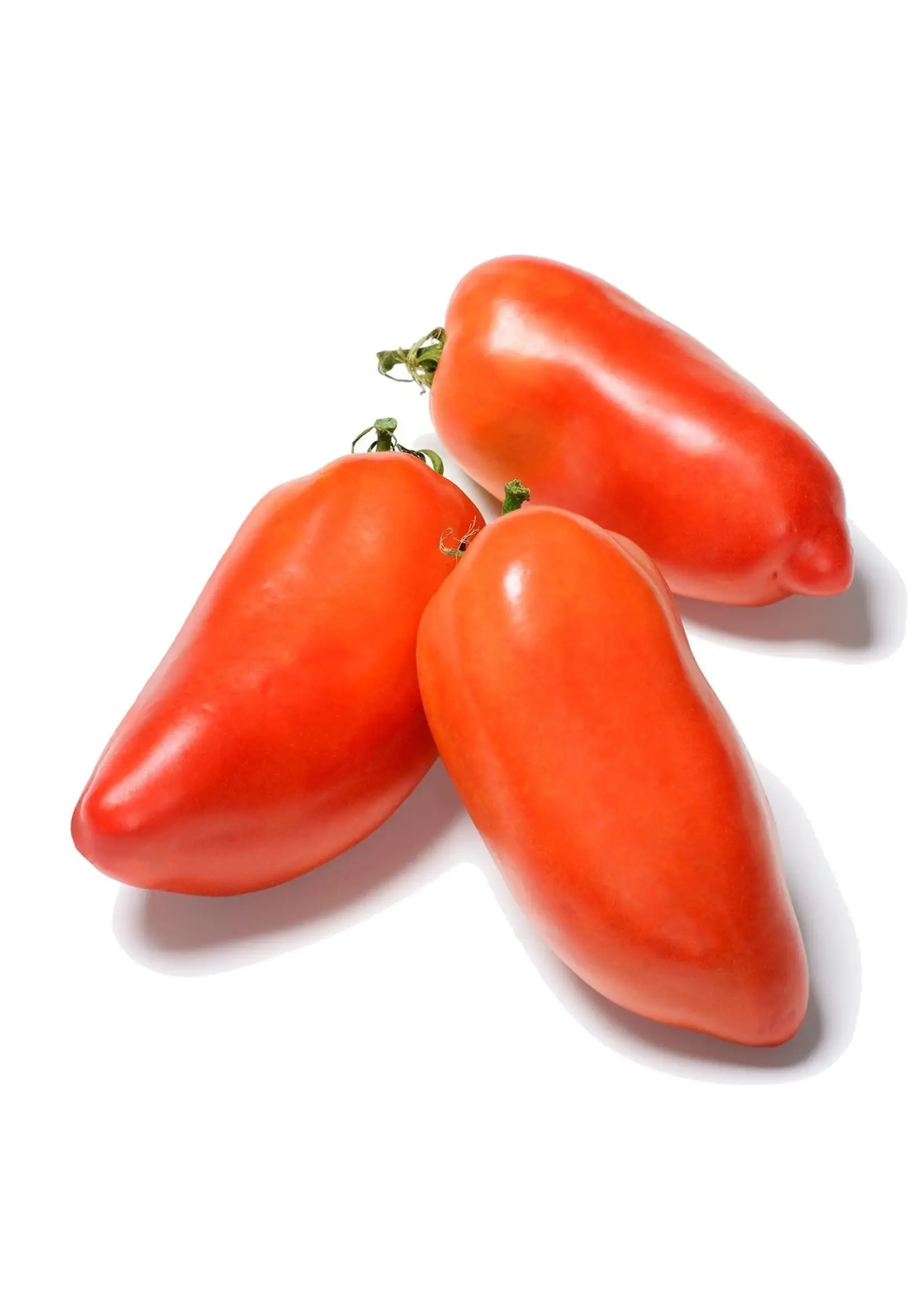 The Living Seed Company Tomato - Opalka Paste