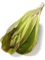 The Living Seed Company Lettuce - Merveille de Quatre Saisons Organic