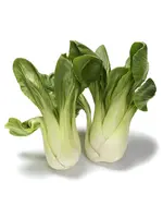 The Living Seed Company Baby Bok Choy Organic