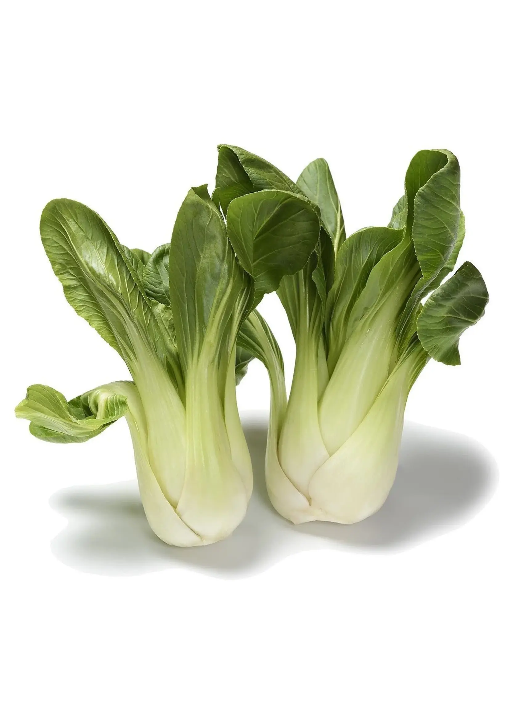 The Living Seed Company Baby Bok Choy Organic