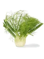 The Living Seed Company Fennel - Florence Organic