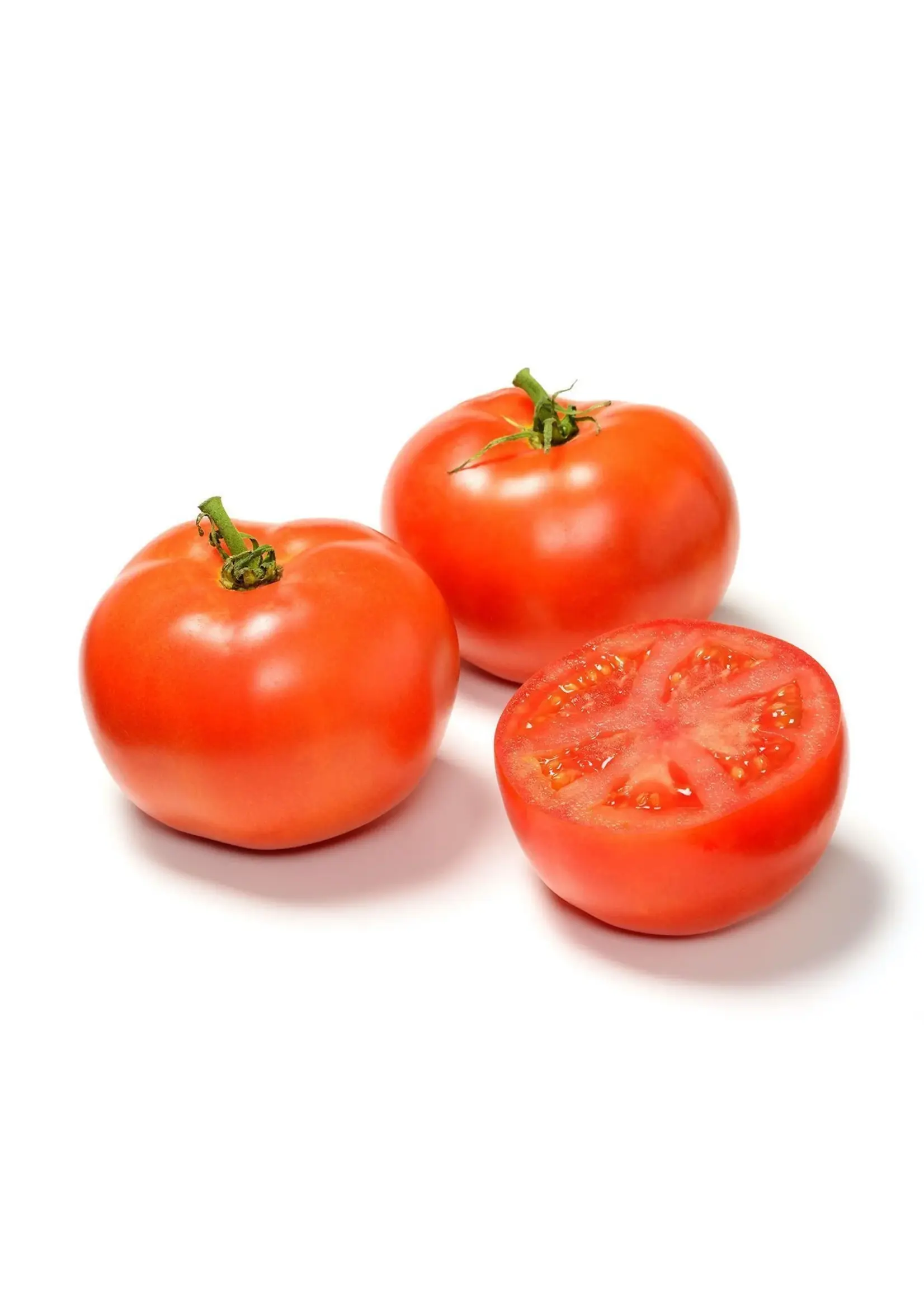 The Living Seed Company Tomato - Legend