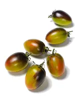 The Living Seed Company Tomato - Brad's Atomic Grape