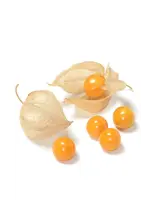 The Living Seed Company Golden Berry