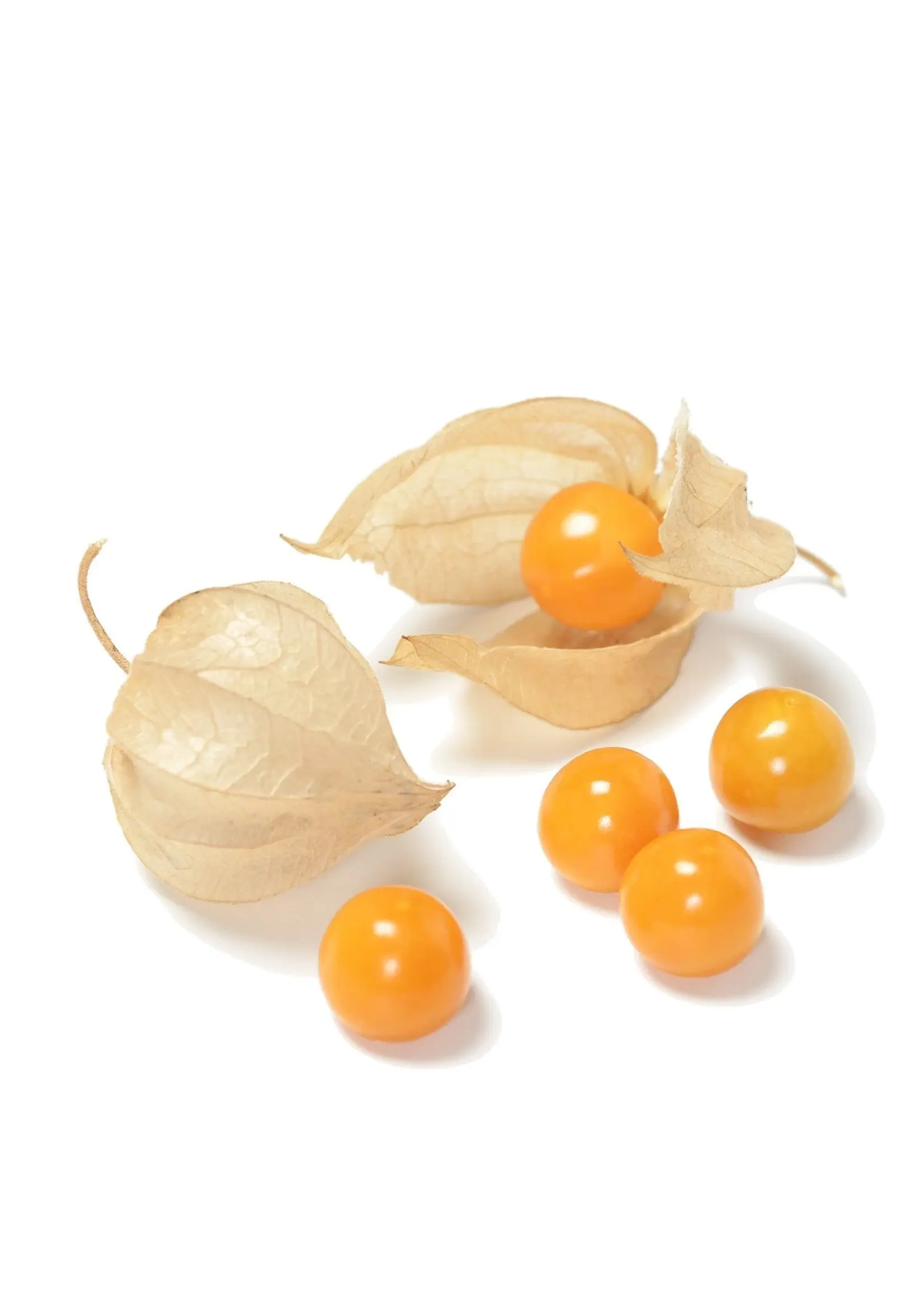 The Living Seed Company Golden Berry