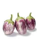 The Living Seed Company Eggplant - Listada De Gandia Organic
