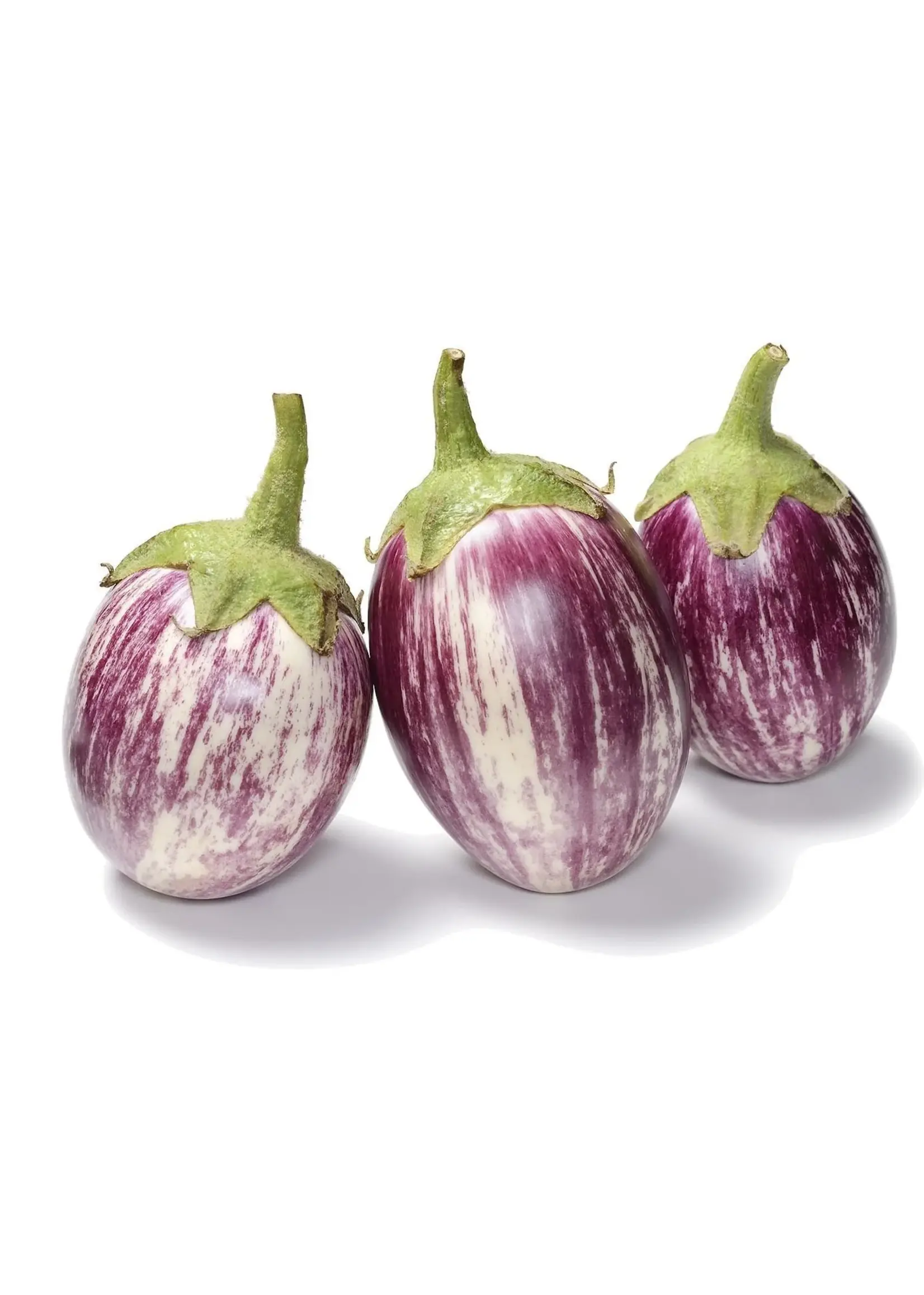 The Living Seed Company Eggplant - Listada De Gandia Organic