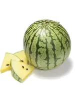 The Living Seed Company Watermelon - Petite Yellow