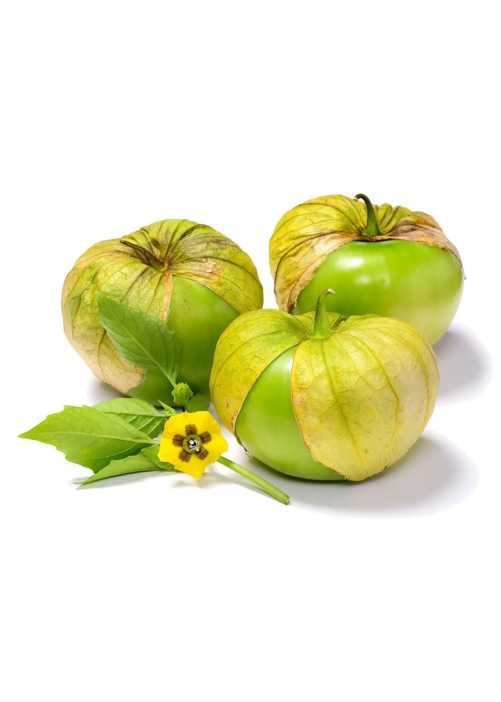 The Living Seed Company Tomatillo - Everona Large Green