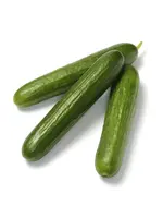 The Living Seed Company Cucumber - Green Finger Organic
