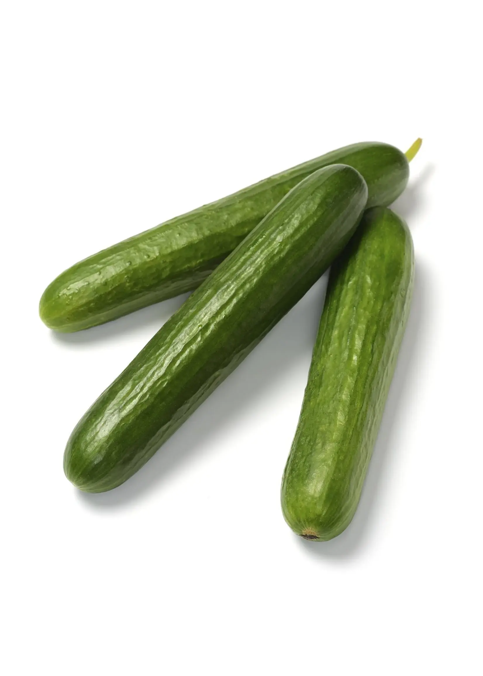 The Living Seed Company Cucumber - Green Finger Organic
