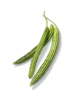 The Living Seed Company Cucumber - Armenian Organic