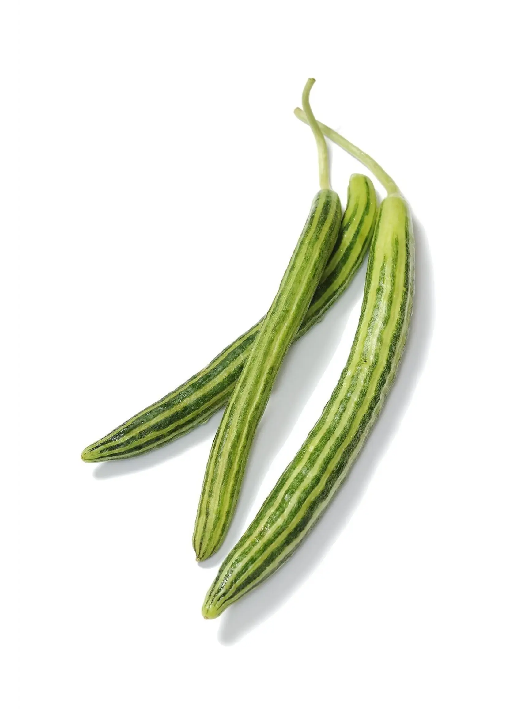 The Living Seed Company Cucumber - Armenian Organic