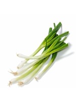 The Living Seed Company Bunching Onion - Parade Organic
