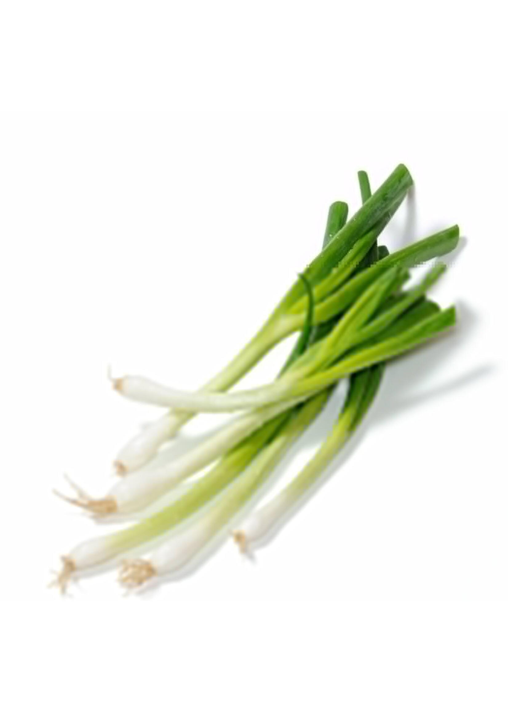 The Living Seed Company Bunching Onion - Parade Organic