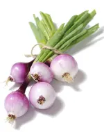 The Living Seed Company Onion - Purplette