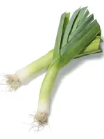 The Living Seed Company Leek - Tadorna Organic