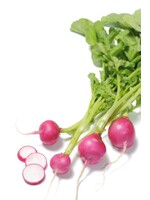 The Living Seed Company Radish - Pink Beauty Organic
