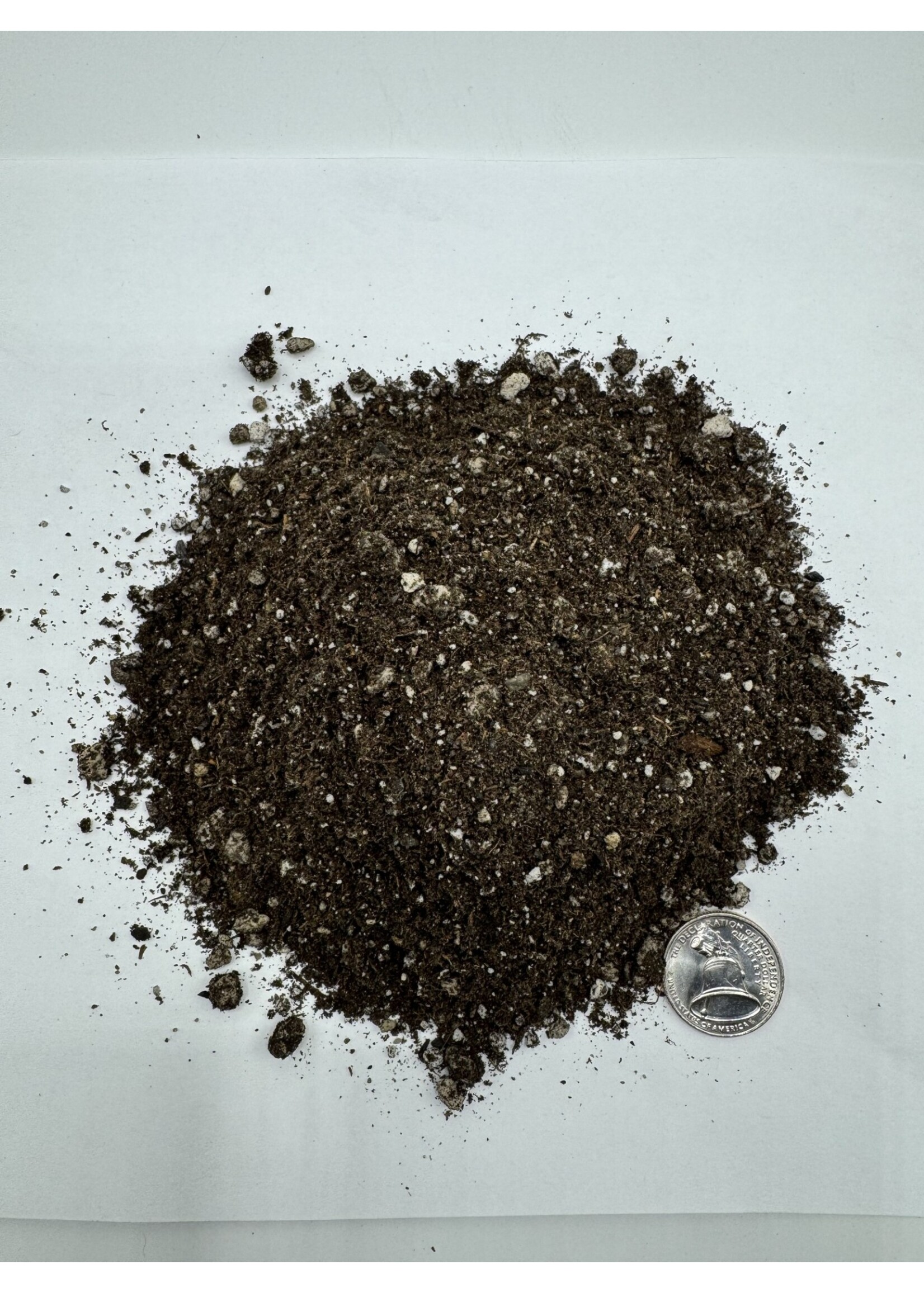 RASA RASA Compost Free Permanent Indoor Outdoor Soil Mix 1 CF