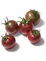The Living Seed Company Tomato Black Cherry Organic