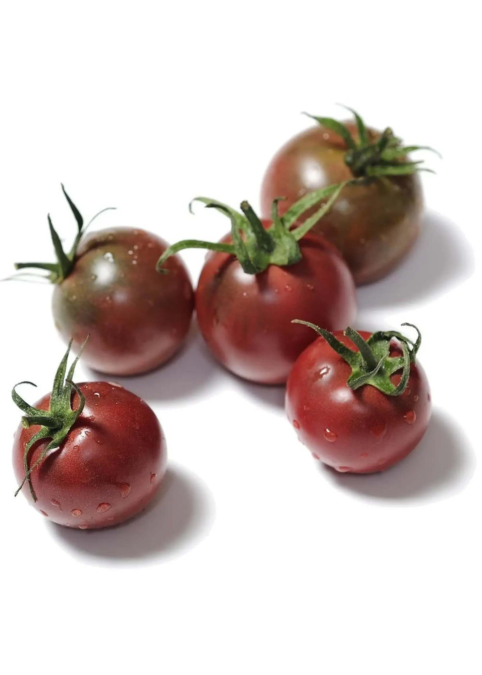 The Living Seed Company Tomato Black Cherry Organic