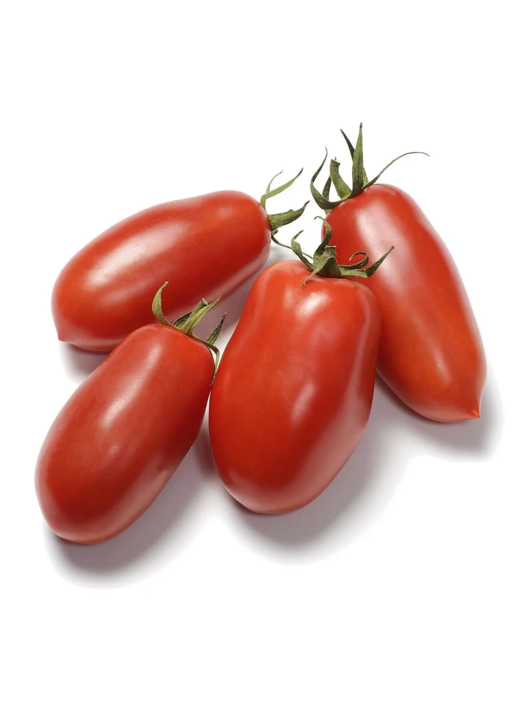 The Living Seed Company Tomato San Marzano Organic