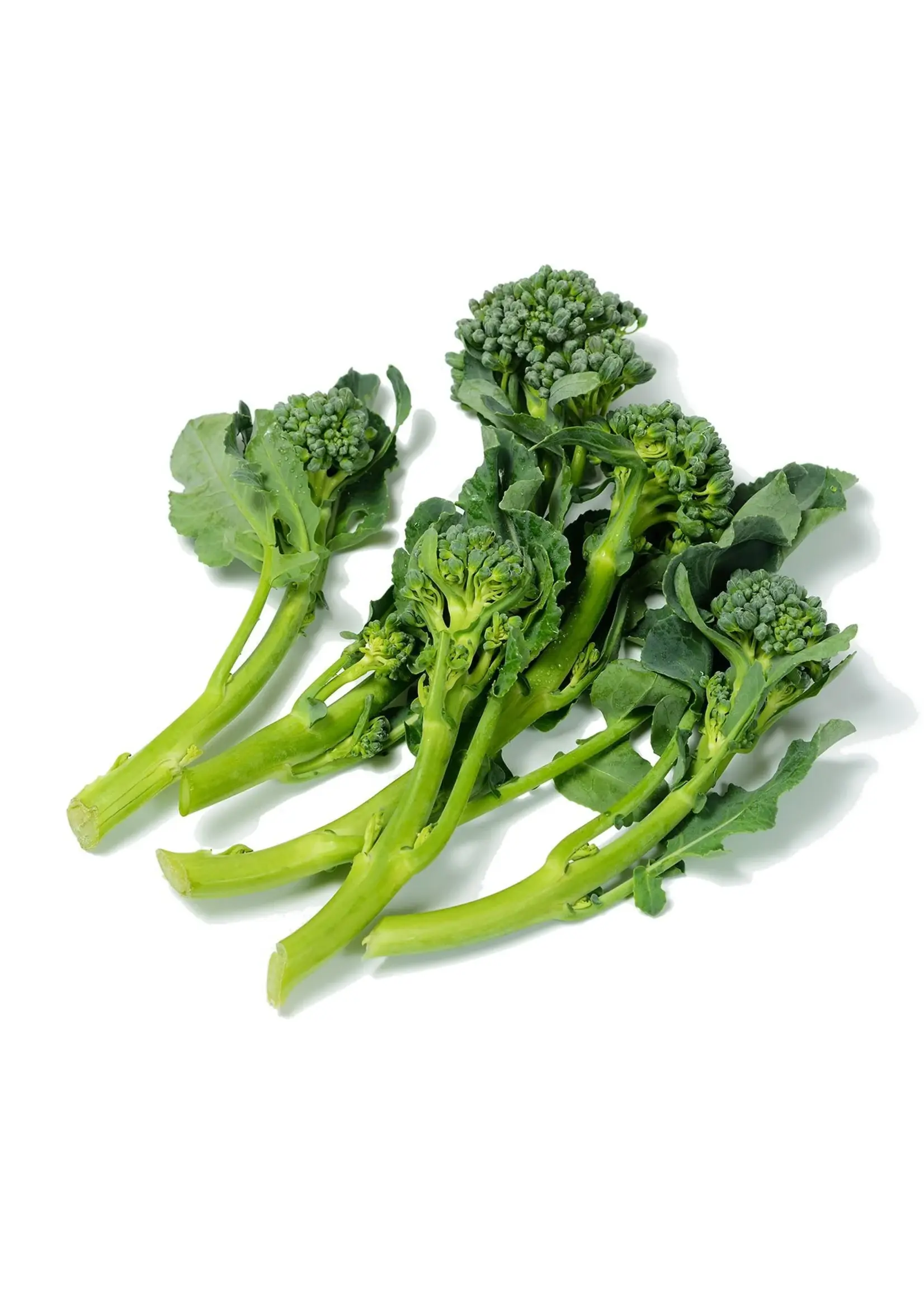 The Living Seed Company Broccoli Calabrese Organic