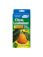 Monterey Lawn & Garden Products Monterey Citrus Leafminer Trap & Lure 2 Pack