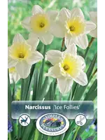 De Vroomen Narcissus Ice Follies Pack of 5 Bulbs