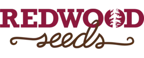 Redwood Seeds