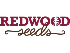 Redwood Seeds