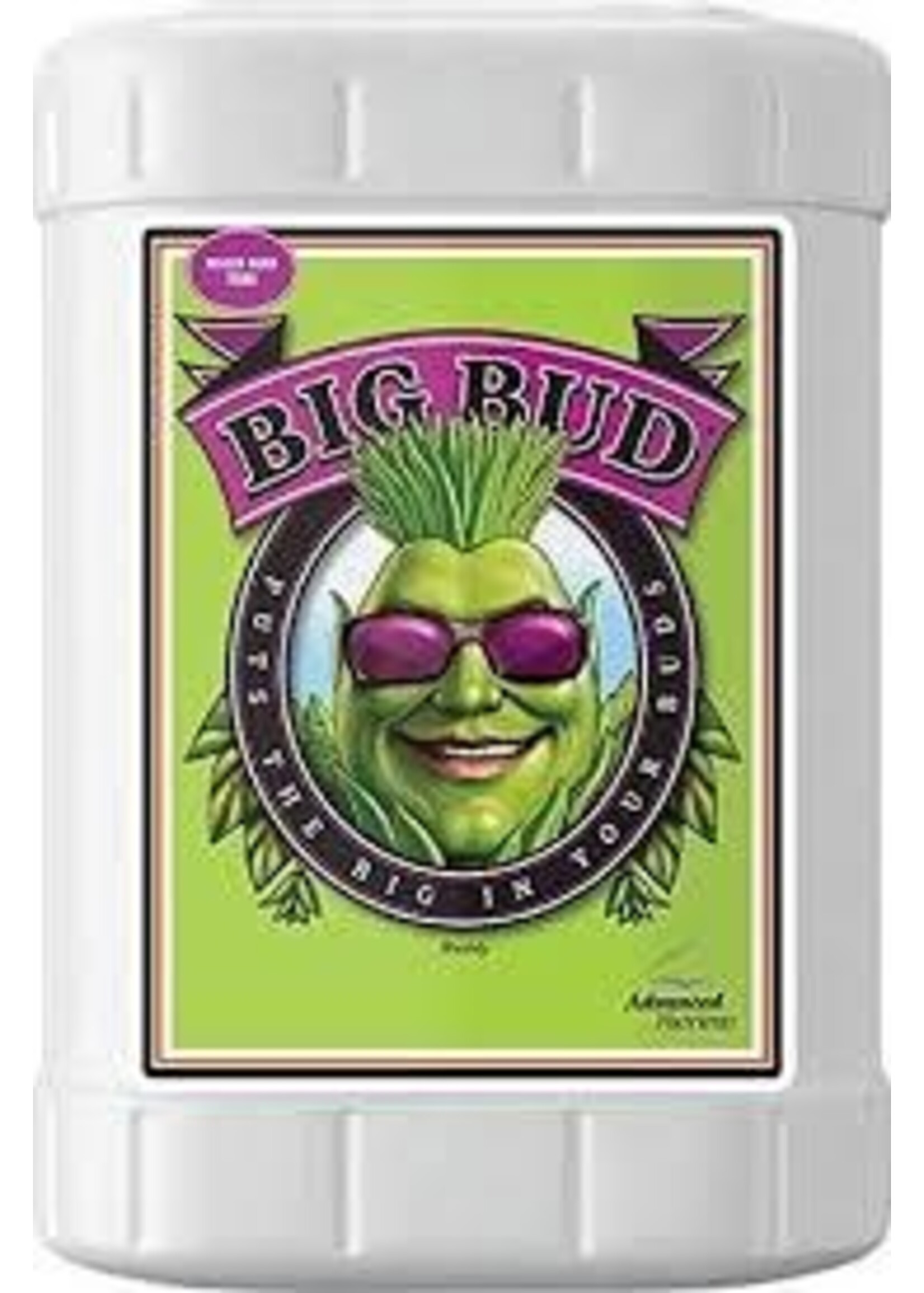 Big Bud