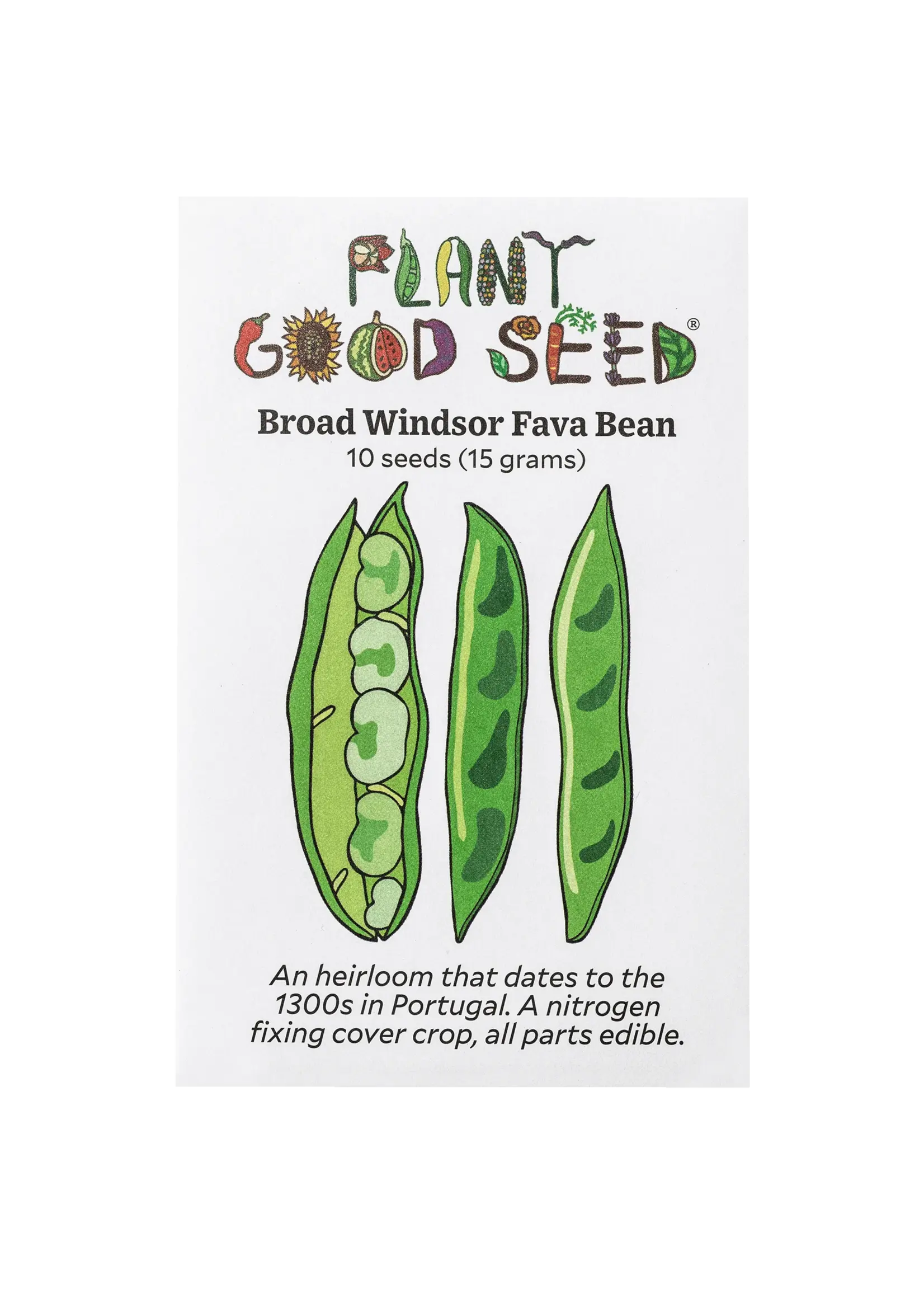 Plant Good Seed Company Bean Fava Broad Windsor Organic