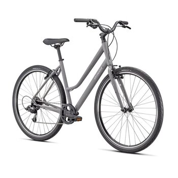 Specialized CROSSROADS 1.0 ST CLGRY/CHRM M