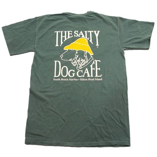 Comfort Colors Comfort Colors Short Sleeve Tee In Light Green