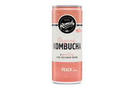 Remedy Remedy Organic Kombucha Peach can