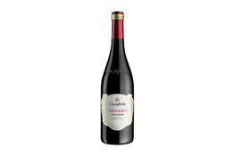 Casalforte Casalforte Valpolicella Superiore, 2021, Rondinella, Corvinone, Italy