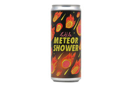 Ten Hands Ten Hands Little Meteor Shower Sour Ale