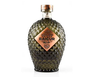 saigon-baigur-saigon-baigur-