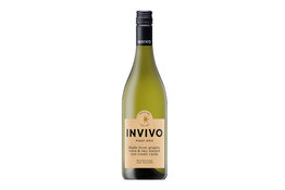 Invivo Invivo Wines Pinot Gris 2018, Marlborough, New Zealand