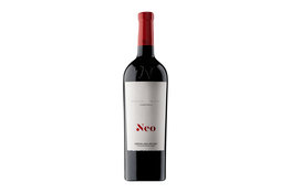 Bodegas Neo Bodegas Neo 2019, Tempranillo, Ribera del Duero, Spain