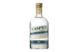 Caspyn Caspyn Cornish Dry Gin