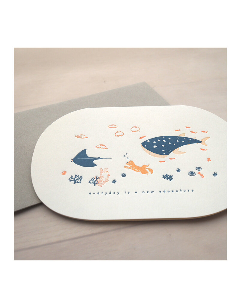Ditto Ditto Ditto HPC003 Everyday Is A New Adventure
