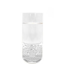 Forest Distillery Forest Gin Highball Etched Glass 350ml