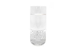Forest Distillery Forest Gin Highball Etched Glass 350ml