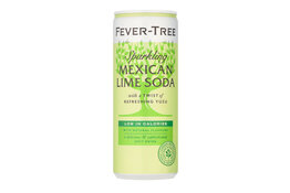 Fever Tree Fever Tree Mexican Lime Soda 250ml