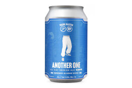 Young Master Young Master Another One Session IPA Can