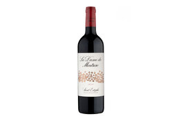 Chateau Montrose Chateau Montrose Dame de Montrose 2nd Wine 2019 St-Estèphe France