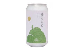 Kagua Far Yeast Hinoki Lager Pilsner with Japanese Cypress